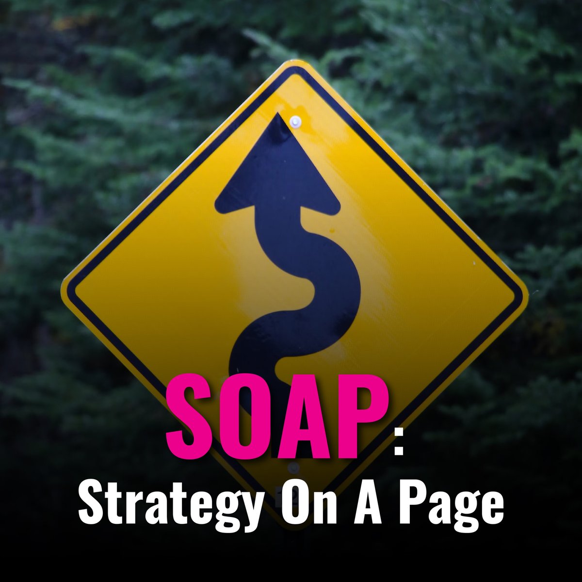 Development image for Plans in Action via SOAP – Strategy On A Page