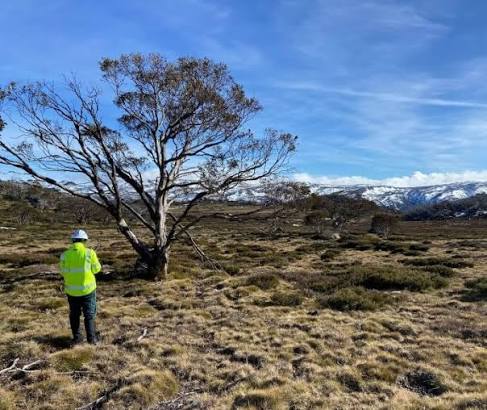Cross-Tenure Coordinated Ground & Aerial Culling — Illawarra & South Coast NSW