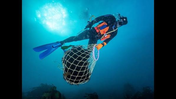 Subsidised Commercial Removal — East Coast Tasmania — hero image