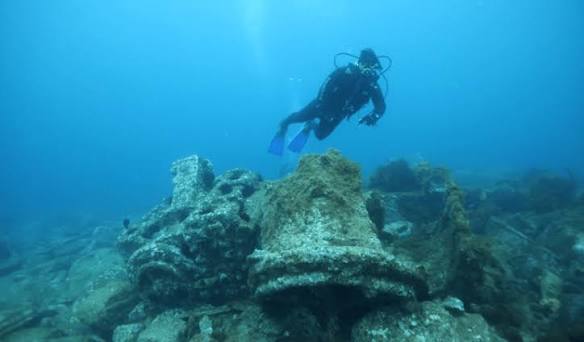 Diver Culling & Monitoring — Beware Reef — hero image