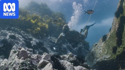 In-Situ Diver Culling — NSW South Coast reef sites — image 1