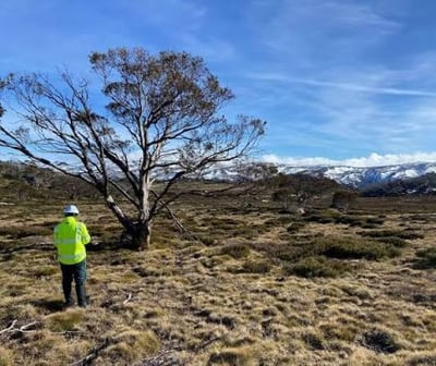 Cross-Tenure Coordinated Ground & Aerial Culling — Illawarra & South Coast NSW