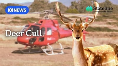 Broad-scale Integrated Aerial & Ground Shooting — Alpine & East Gippsland Parks VIC