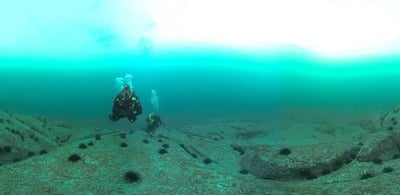 In-Situ Diver Culling Trials — St Helens, Freycinet & Maria Island — image 1