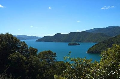 Mātauranga & Science Restoration Trial — Tōtaranui — hero image
