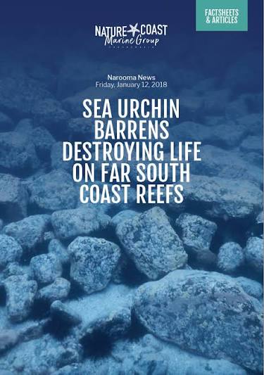 Marine Park Working Group Trials — Batemans Marine Park — image 1