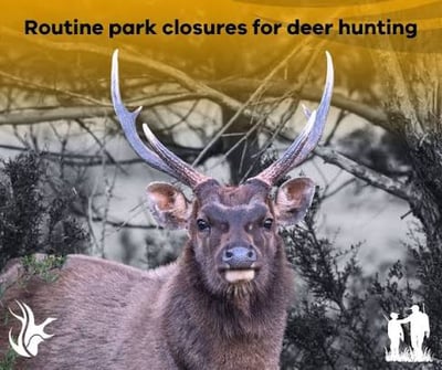 Broad-scale Integrated Aerial & Ground Shooting — Alpine & East Gippsland Parks VIC