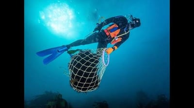 Subsidised Commercial Removal — East Coast Tasmania — hero image