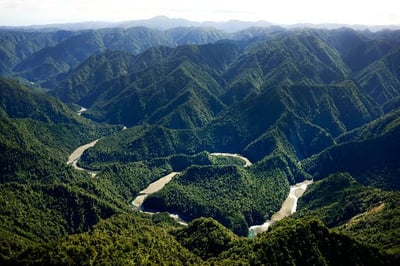 Coordinated Indigenous-Led Aerial & Dog-Tracking Control — Raukūmara Ranges North Island NZ