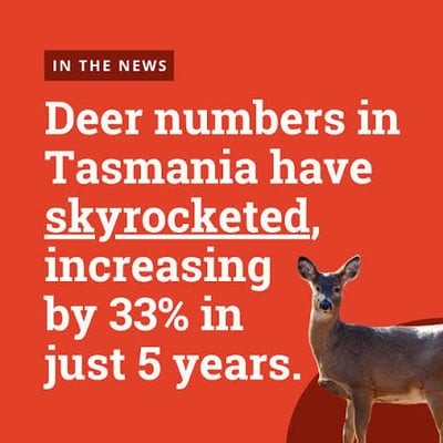 Property-Scale Crop Protection & Recreational Permits — Private Agricultural Lands Statewide TAS