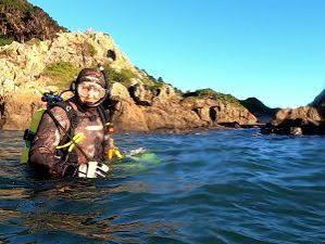 Iwi-Led Kina Removal & Research — Kau Point — image 2
